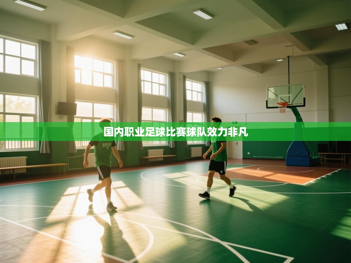 国内职业足球比赛球队效力非凡  第2张