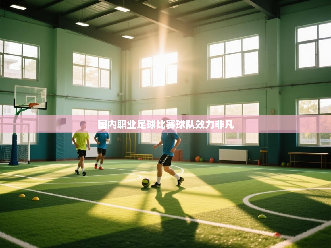 国内职业足球比赛球队效力非凡  第1张