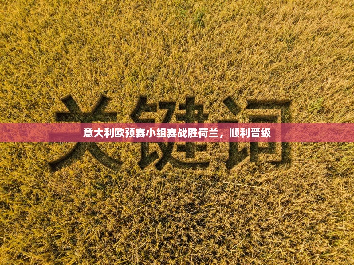 意大利欧预赛小组赛战胜荷兰，顺利晋级  第2张