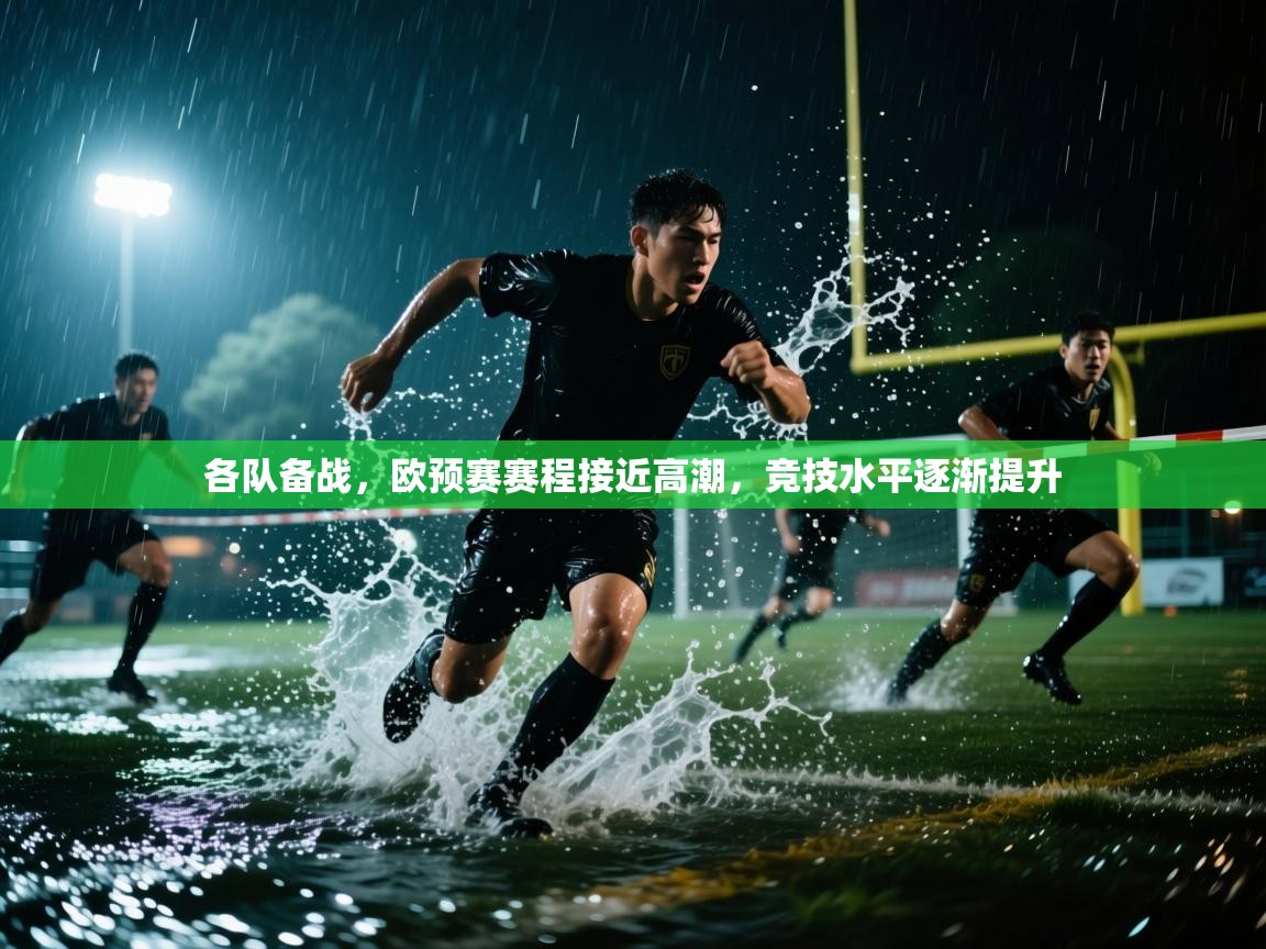 各队备战,欧预赛赛程接近高潮,竞技水平逐渐提升 第2张